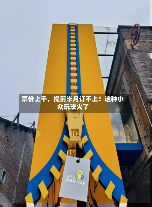 票价上千	，提前半月订不上！这种小众玩法火了-第1张图片