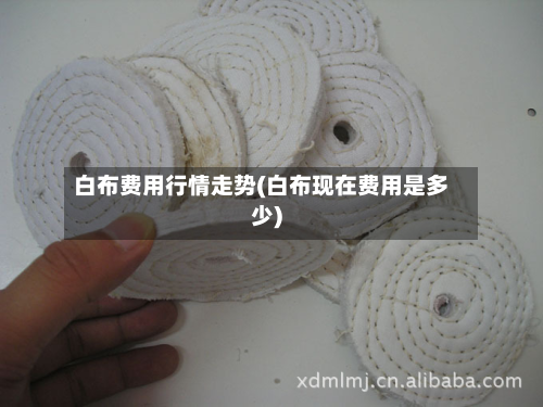白布费用行情走势(白布现在费用是多少)-第2张图片