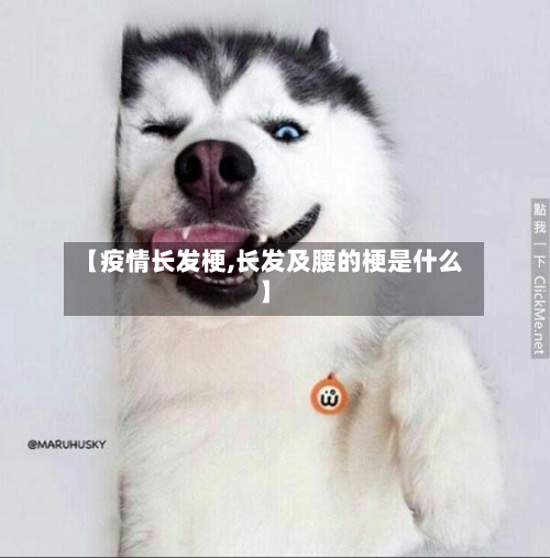 【疫情长发梗,长发及腰的梗是什么】-第3张图片