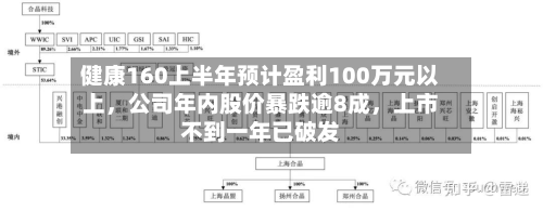 健康160上半年预计盈利100万元以上，公司年内股价暴跌逾8成	，上市不到一年已破发-第2张图片