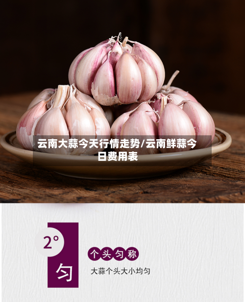 云南大蒜今天行情走势/云南鲜蒜今日费用表-第3张图片