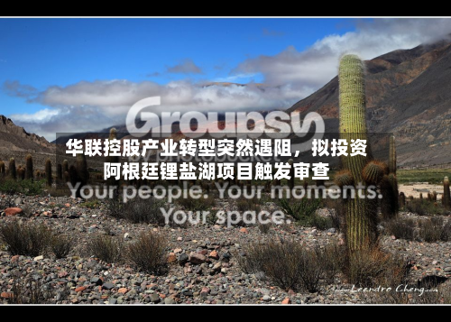华联控股产业转型突然遇阻，拟投资阿根廷锂盐湖项目触发审查-第2张图片