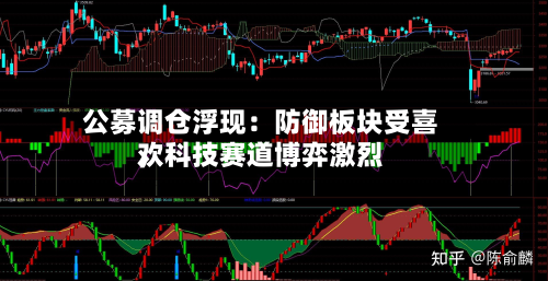 公募调仓浮现：防御板块受喜欢，科技赛道博弈激烈-第3张图片