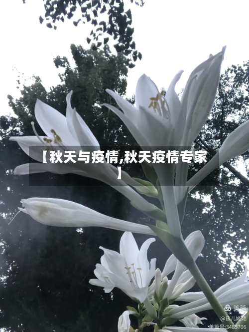 【秋天与疫情,秋天疫情专家】-第1张图片