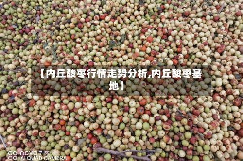 【内丘酸枣行情走势分析,内丘酸枣基地】-第1张图片