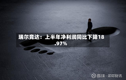 瑞尔竞达：上半年净利润同比下降18.97%-第1张图片