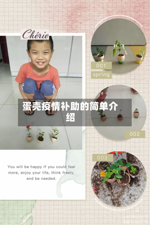 蛋壳疫情补助的简单介绍-第1张图片