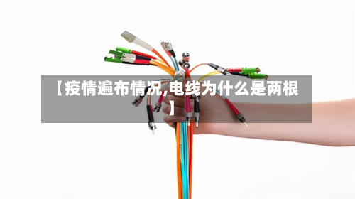 【疫情遍布情况,电线为什么是两根】-第1张图片