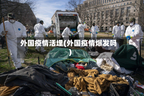 外国疫情活埋(外国疫情爆发吗)-第2张图片
