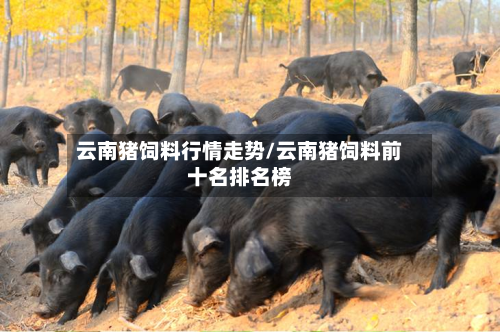 云南猪饲料行情走势/云南猪饲料前十名排名榜-第3张图片