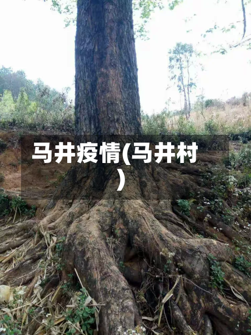 马井疫情(马井村)-第2张图片