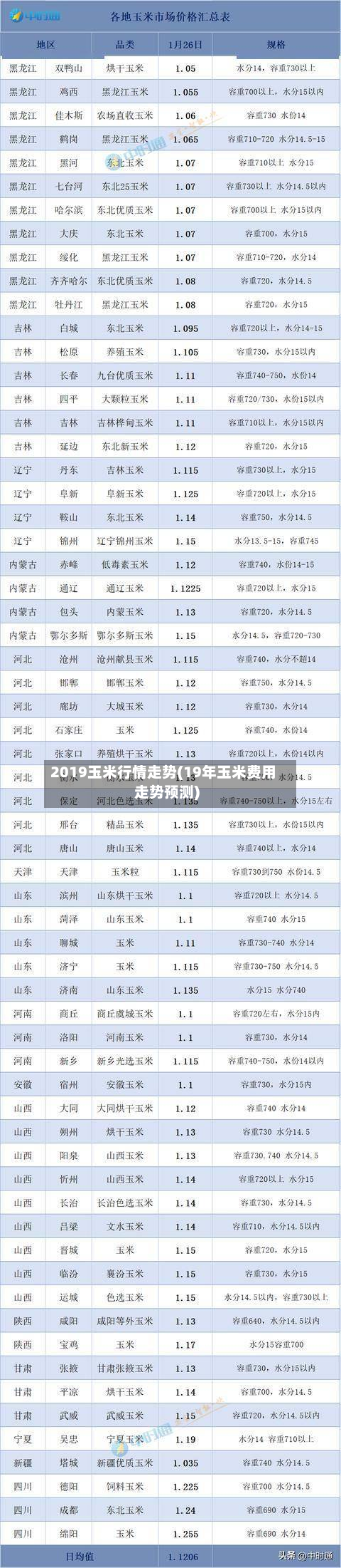 2019玉米行情走势(19年玉米费用走势预测)-第1张图片