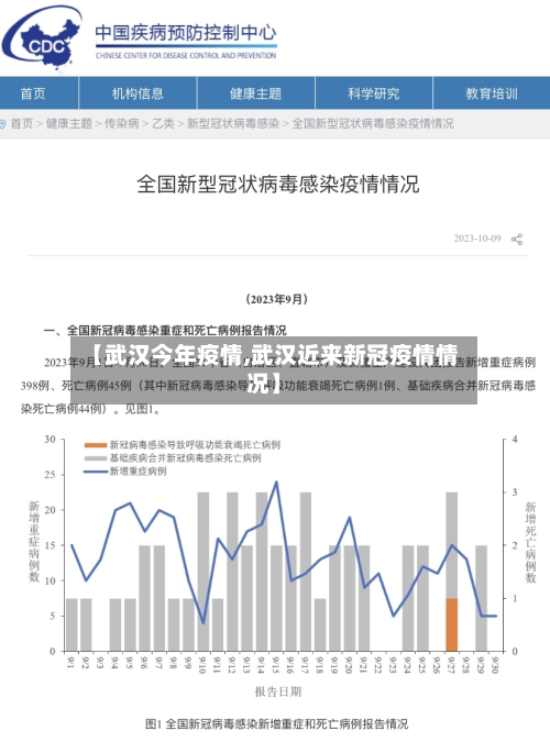 【武汉今年疫情,武汉近来新冠疫情情况】-第2张图片