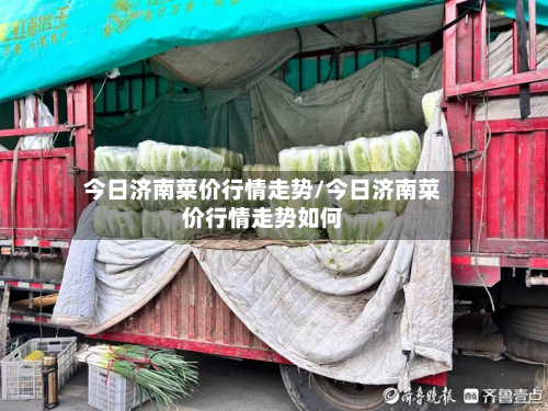 今日济南菜价行情走势/今日济南菜价行情走势如何-第3张图片