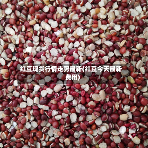 红豆现货行情走势最新(红豆今天最新费用)-第1张图片