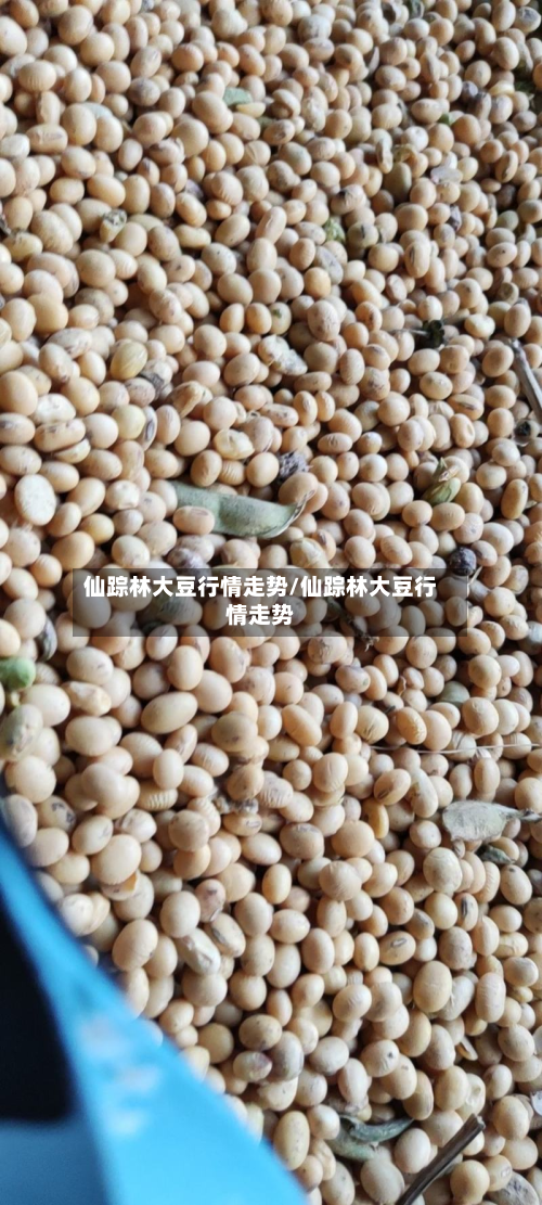 仙踪林大豆行情走势/仙踪林大豆行情走势-第1张图片