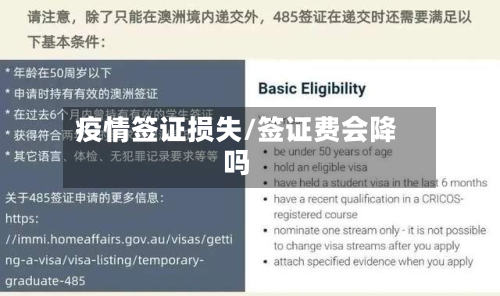 疫情签证损失/签证费会降吗-第1张图片