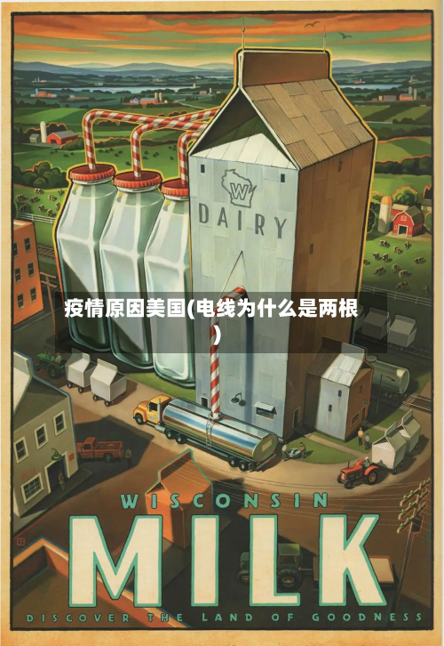 疫情原因美国(电线为什么是两根)-第1张图片
