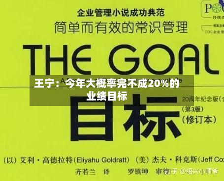 王宁：今年大概率完不成20%的业绩目标-第2张图片