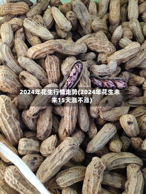 2024年花生行情走势(2024年花生未来15天涨不涨)-第3张图片