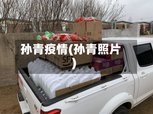 孙青疫情(孙青照片)-第1张图片