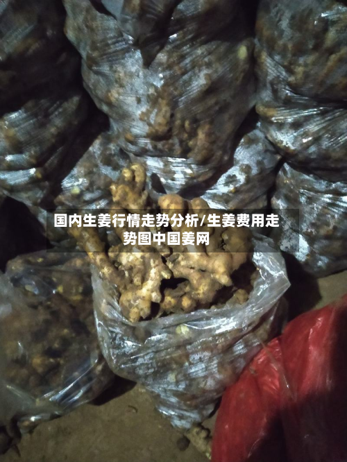 国内生姜行情走势分析/生姜费用走势图中国姜网-第2张图片