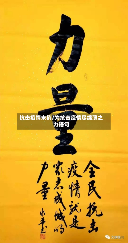 抗击疫情末梢/为抗击疫情尽绵薄之力语句-第2张图片