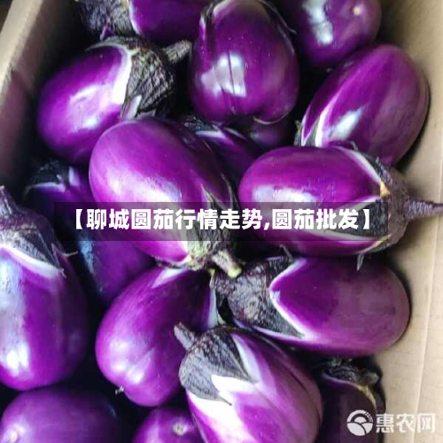 【聊城圆茄行情走势,圆茄批发】-第2张图片