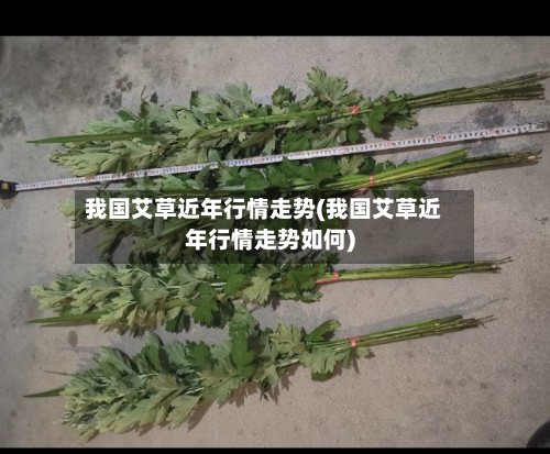 我国艾草近年行情走势(我国艾草近年行情走势如何)-第1张图片