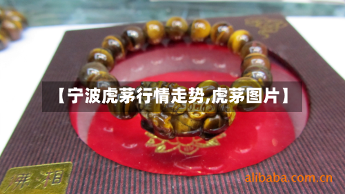 【宁波虎茅行情走势,虎茅图片】-第1张图片