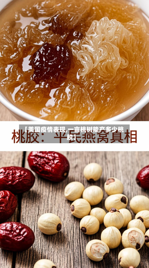 【美国疫情表现,一亩桃树能产多少桃胶】-第3张图片