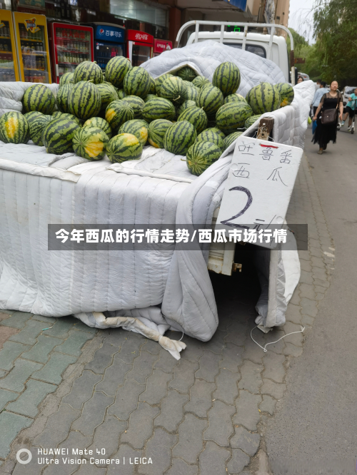 今年西瓜的行情走势/西瓜市场行情-第3张图片
