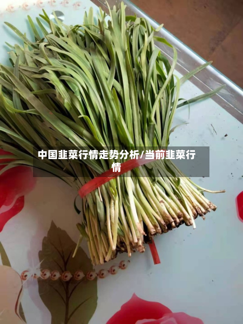 中国韭菜行情走势分析/当前韭菜行情-第2张图片