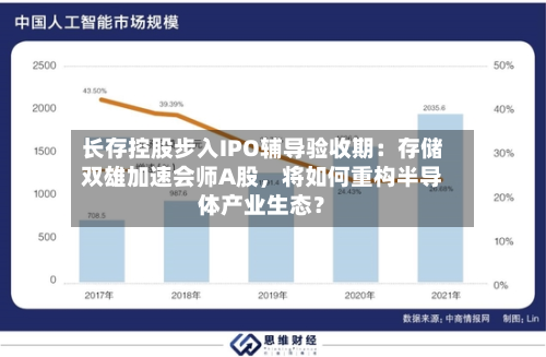 长存控股步入IPO辅导验收期：存储双雄加速会师A股，将如何重构半导体产业生态？-第3张图片