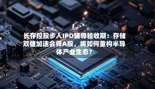 长存控股步入IPO辅导验收期：存储双雄加速会师A股，将如何重构半导体产业生态？-第2张图片