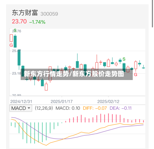 新东方行情走势/新东方股价走势图-第2张图片