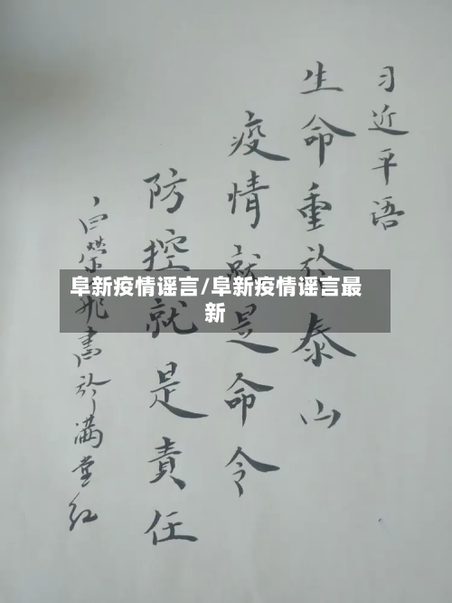 阜新疫情谣言/阜新疫情谣言最新-第1张图片