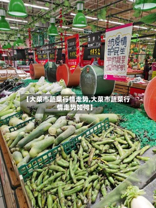 【大菜市蔬菜行情走势,大菜市蔬菜行情走势如何】-第3张图片