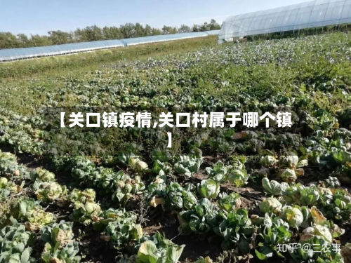 【关口镇疫情,关口村属于哪个镇】-第1张图片