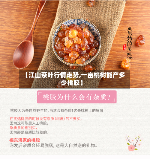【江山茶叶行情走势,一亩桃树能产多少桃胶】-第2张图片