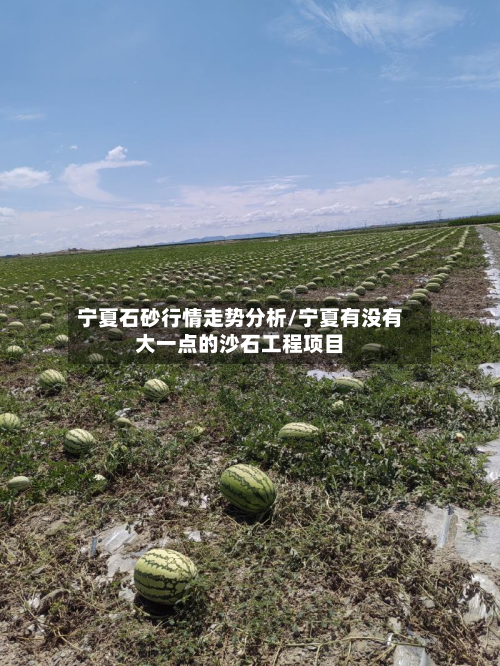 宁夏石砂行情走势分析/宁夏有没有大一点的沙石工程项目-第1张图片