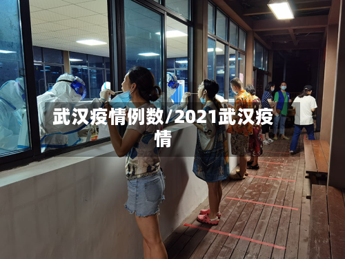 武汉疫情例数/2021武汉疫情-第1张图片