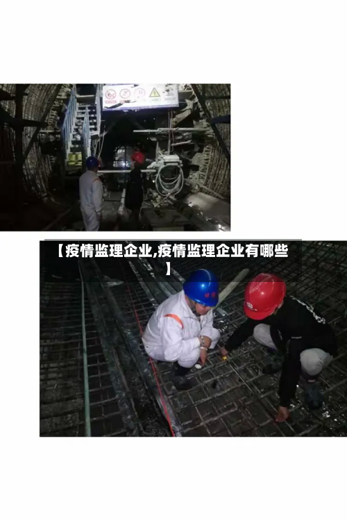 【疫情监理企业,疫情监理企业有哪些】-第2张图片