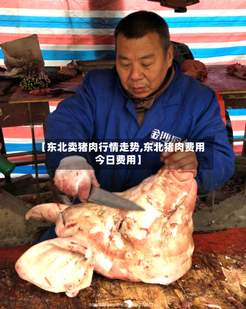 【东北卖猪肉行情走势,东北猪肉费用今日费用】-第3张图片