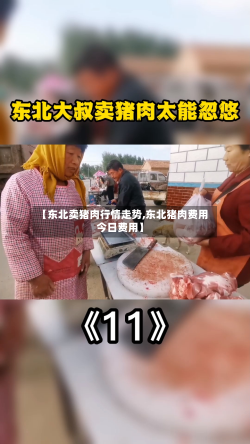 【东北卖猪肉行情走势,东北猪肉费用今日费用】-第1张图片