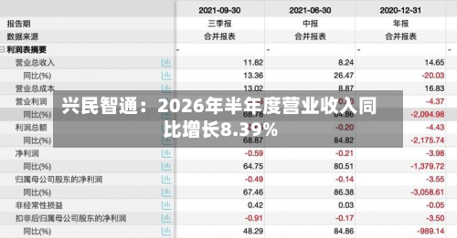 兴民智通：2026年半年度营业收入同比增长8.39%-第2张图片