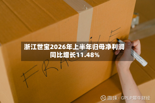浙江世宝2026年上半年归母净利润同比增长11.48%-第2张图片