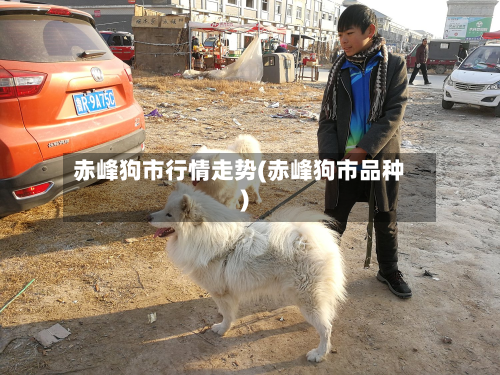 赤峰狗市行情走势(赤峰狗市品种)-第2张图片