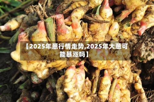 【2025年葱行情走势,2025年大葱可能暴涨吗】-第1张图片