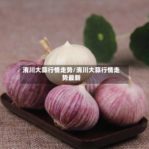 洧川大蒜行情走势/洧川大蒜行情走势最新-第1张图片